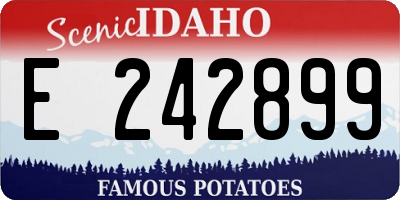 ID license plate E242899
