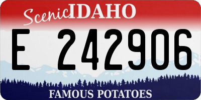 ID license plate E242906