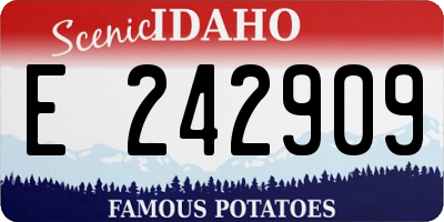 ID license plate E242909