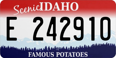 ID license plate E242910