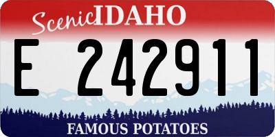 ID license plate E242911