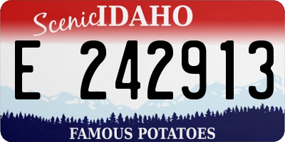 ID license plate E242913