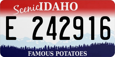 ID license plate E242916