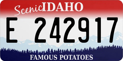 ID license plate E242917