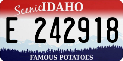 ID license plate E242918