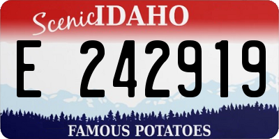 ID license plate E242919