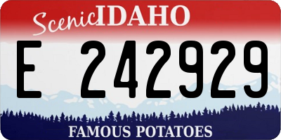 ID license plate E242929