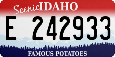 ID license plate E242933