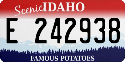 ID license plate E242938