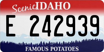 ID license plate E242939