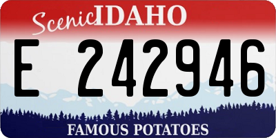 ID license plate E242946
