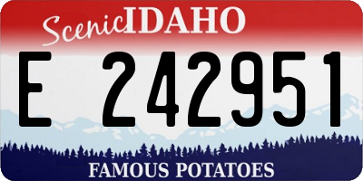 ID license plate E242951
