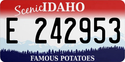 ID license plate E242953