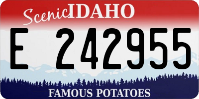 ID license plate E242955
