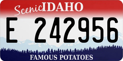 ID license plate E242956