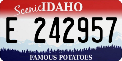ID license plate E242957