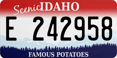 ID license plate E242958