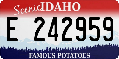 ID license plate E242959
