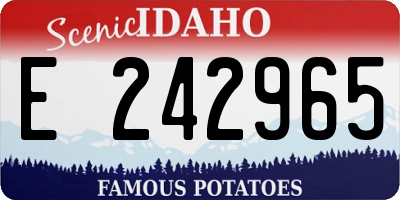 ID license plate E242965