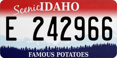 ID license plate E242966