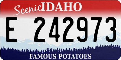 ID license plate E242973