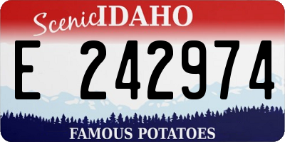 ID license plate E242974