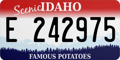 ID license plate E242975