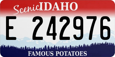 ID license plate E242976
