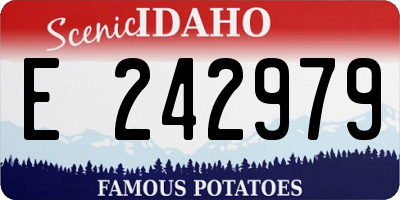 ID license plate E242979