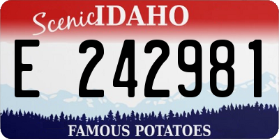 ID license plate E242981