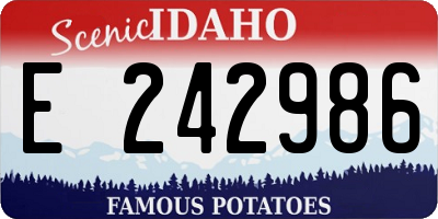 ID license plate E242986