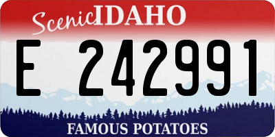 ID license plate E242991