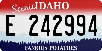 ID license plate E242994