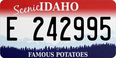 ID license plate E242995
