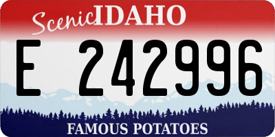 ID license plate E242996
