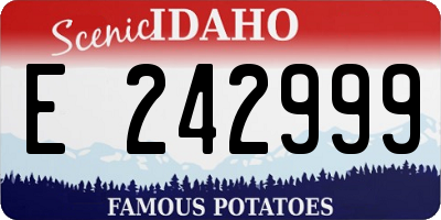 ID license plate E242999