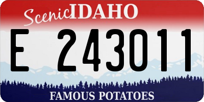 ID license plate E243011