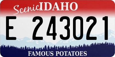 ID license plate E243021