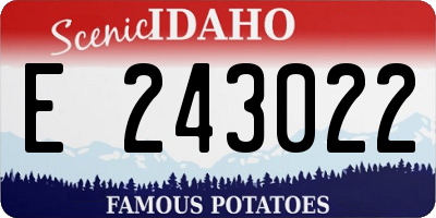 ID license plate E243022