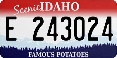 ID license plate E243024