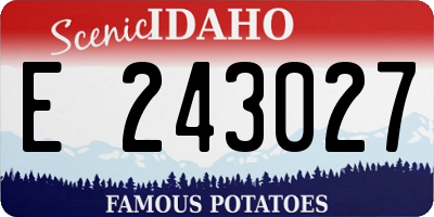 ID license plate E243027