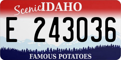 ID license plate E243036
