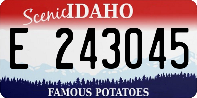 ID license plate E243045