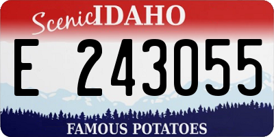 ID license plate E243055