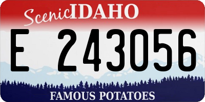 ID license plate E243056