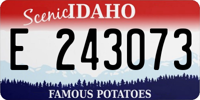 ID license plate E243073