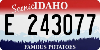 ID license plate E243077