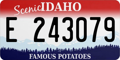 ID license plate E243079