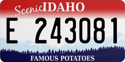 ID license plate E243081