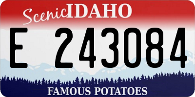 ID license plate E243084